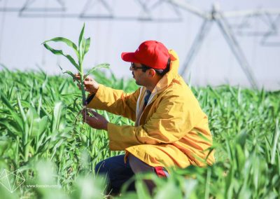 Photography Western – 13